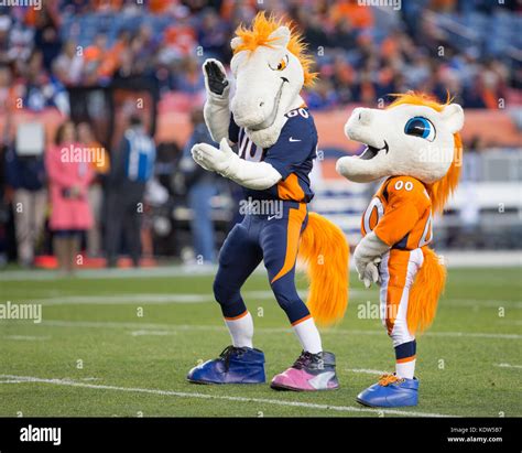 Mascot Health Policies to Be Revised: Response to Denver Broncos Incident